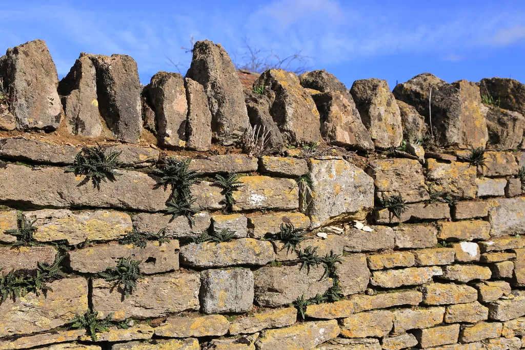 Detalle de la masía